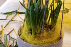 20170408_115833