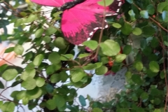 20170408_115911
